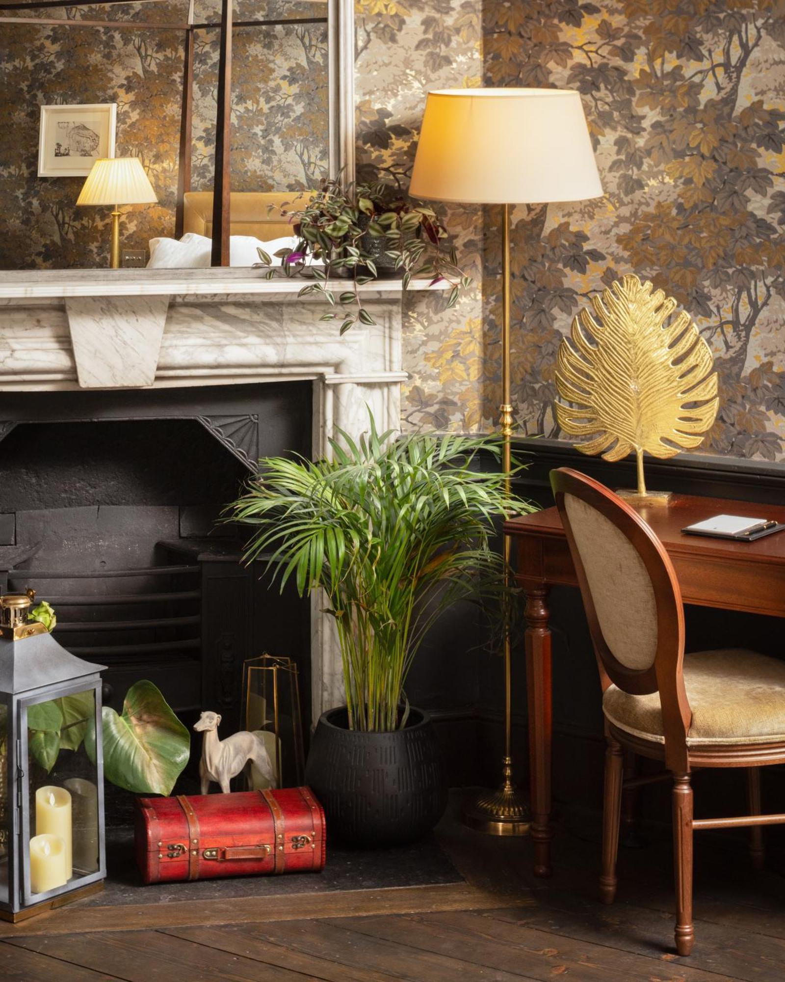 Carton House A Fairmont Managed Hotel Мэйнут Экстерьер фото A houseplant